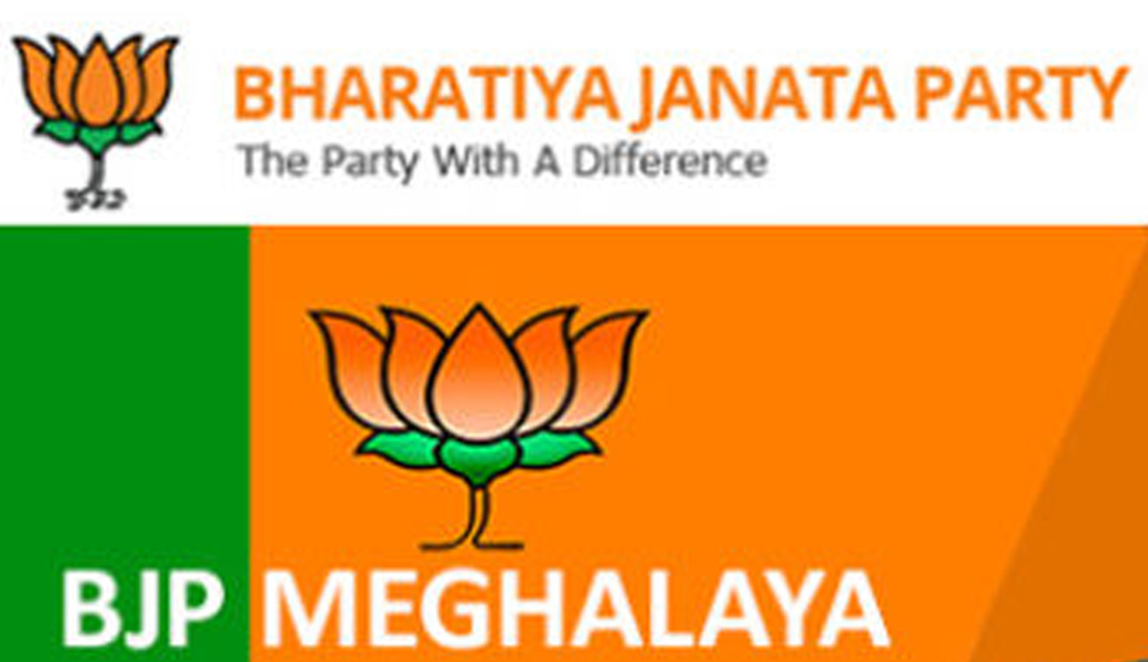 Poster Bjp Logo Bhartiya Janta Party With Modi sl-9491 (Wall Poster, 13x19  Inch, Matte Paper, Multicolor) Fine Art Print - Personalities posters in  India - Buy art, film, design, movie, music, nature