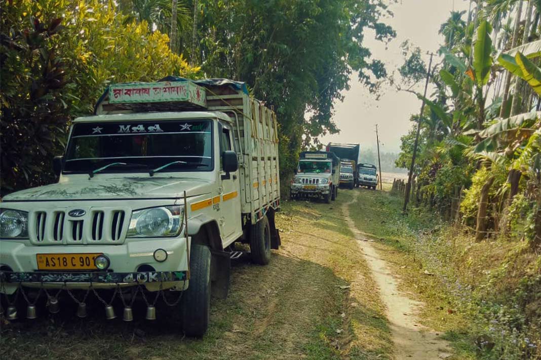 Five pick up trucks loaded with coal were seized from a village in East Garo Hills District.