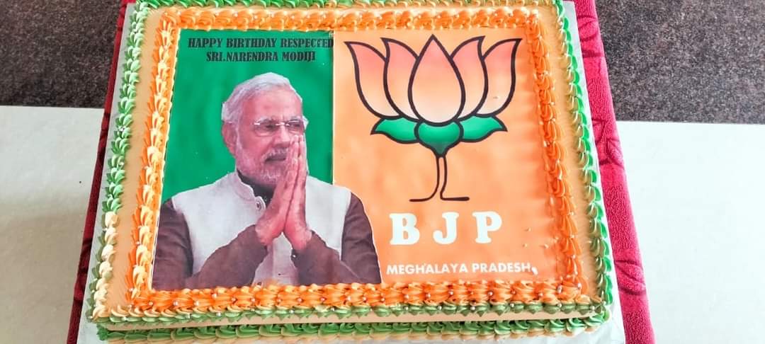 Buy BJP Flag Cake online from Mother's Bakery